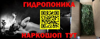 гидропоника Будённовск