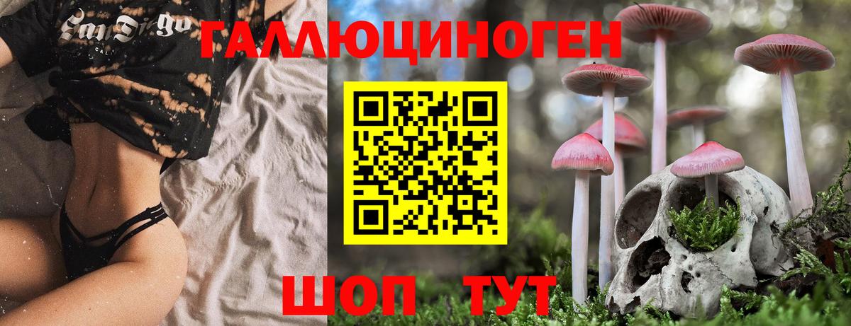 Галлюциногенные грибы Magic Shrooms Сибай